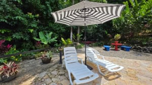 Relaxing outdoor space with lounge chairs, umbrella, and lush greenery.