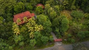 A lush tropical estate with a house, cabin, and surrounding forest in Dominical, Costa Rica.