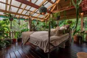 Cozy bedroom surrounded by tropical plants and natural wood decor.