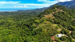 Lush green hills and ocean view from a private estate in Dominical.