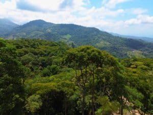 Scenic view of lush green forest and distant mountains in Dominical, Costa Rica.