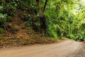 Riverfront land with road access and lush greenery in Dominical, Costa Rica.