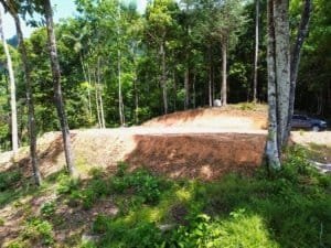 Private forest lot with lush greenery and mature trees in Costa Rica.