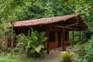 Wooden cabin surrounded by lush tropical greenery in Costa Rica.