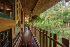 Wooden balcony with lush tropical greenery in Dominical, Costa Rica.