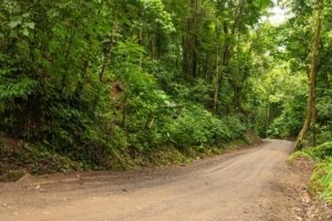 Riverfront dirt road surrounded by lush green forest in Dominical, Costa Rica.