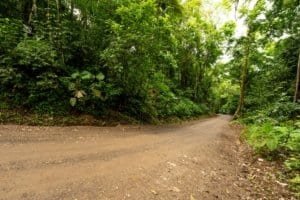 Dirt road through lush green tropical forest in Dominical, Costa Rica.