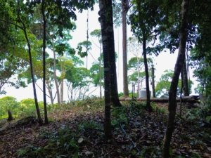 Lush tropical forest with ocean view and gated property in Dominical.