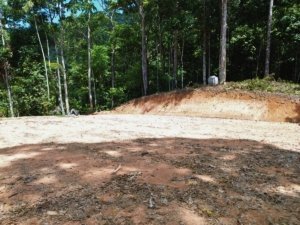 Vacant land with ocean view and lush forest in Dominical, Costa Rica.