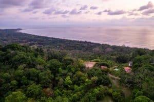 Aerial view of lush greenery and ocean coastline in Dominical, Costa Rica.