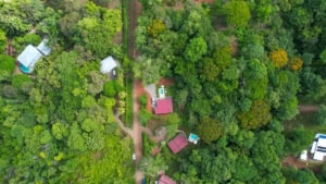 Aerial view of lush forest with houses and pathways in Dominical, Costa Rica.
