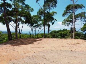 Tropical lot with ocean view, trees, and clear sky in Dominical, Costa Rica.