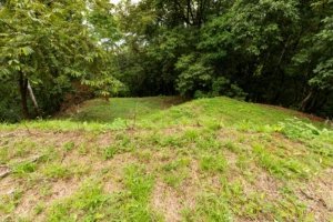 Build-ready riverfront property with utilities and lush greenery in Dominical.