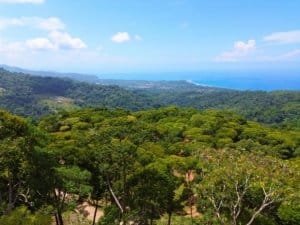 Beautiful lush green landscape with ocean view and blue sky in Dominical.