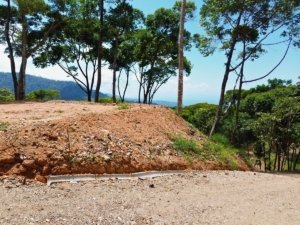 Scenic ocean view land in Dominical with trees and blue sky.