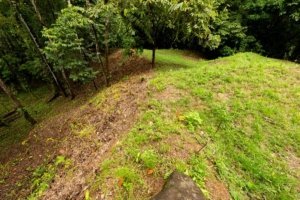 Developable riverfront property with lush greenery and mature trees in Dominical.