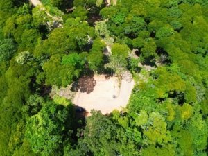 A lush green forest with a cleared area and ocean view in Dominical, Costa Rica.
