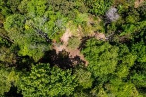 Aerial view of lush green forest with multiple building sites in Dominical, Costa Rica.