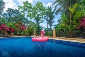 Swimming pool with pink flamingo float and lush tropical garden.