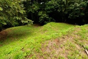 Build-ready riverfront property with utilities and lush greenery in Dominical.