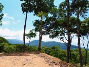 Scenic ocean view with trees, mountains, and blue sky in Dominical, Costa Rica.