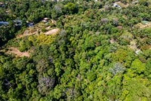 Aerial view of lush green forested land in Dominical, Costa Rica.