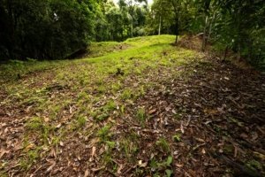 Build-ready riverfront land with utilities in Dominical, Costa Rica.