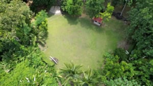A large green backyard with trees, grass, and a small shed in Costa Rica.