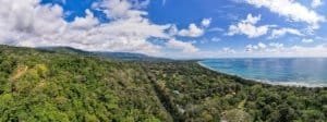 Lush green forest leading to the ocean with blue sky and clouds.
