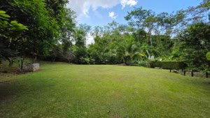 Beautiful green garden in Dominical with trees and open space.