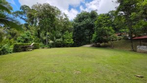 Spacious grassy yard with tropical trees and a pathway in Dominical, Costa Rica.