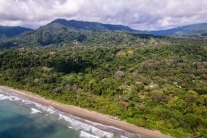 Lush tropical forest with beach and ocean in Dominical, Costa Rica.