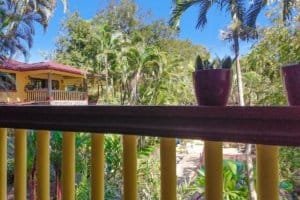 Balcony overlooking lush tropical garden with palm trees in Dominical.