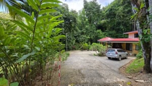 Large parking area surrounded by lush tropical trees and a house in Dominical.