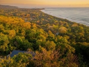 Tropical forest with ocean view near Dominical, Costa Rica.