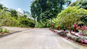 Serene garden path with vibrant plants and trees in Dominical, Costa Rica.