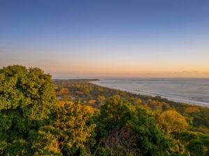Scenic view of lush green forest and ocean coastline at sunset.