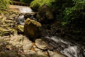 Scenic river with rocks and lush greenery in Dominical, Costa Rica.