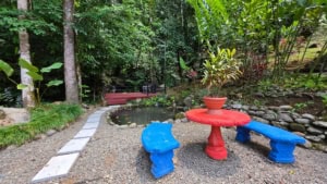 Lush tropical garden with pond, colorful benches, and waterfall in Costa Rica.
