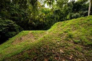 Riverfront land with lush greenery and gentle slope in Dominical, Costa Rica.