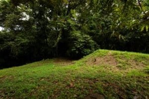 Lush green riverfront property with trees and grass in Dominical, Costa Rica.