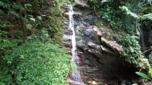 Scenic waterfall surrounded by lush greenery in Dominical, Costa Rica.
