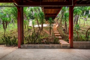 View from porch showing lush tropical plants and stairs to elevated home.