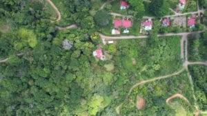 Aerial view of lush green forest and residential area in Dominical, Costa Rica.