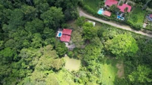 Aerial view of a lush jungle property with a house, pool, and waterfall in Dominical.