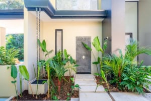 Contemporary tropical home entrance with lush greenery and minimalist design.