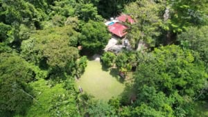 A lush green Costa Rican property with a pool, waterfall, and private garden.