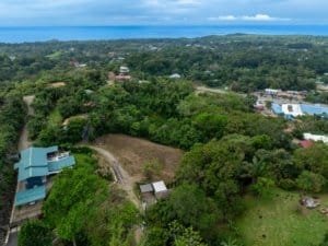 Aerial view of lush green Dominical area with ocean in background.