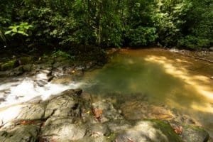 Riverfront property with lush greenery and rocky banks in Dominical, Costa Rica.
