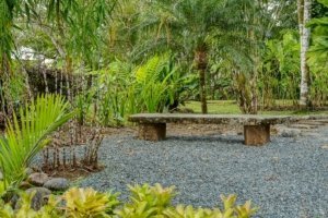 Stone bench in lush tropical garden with palm trees and greenery.
